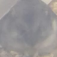 さわら ゆき